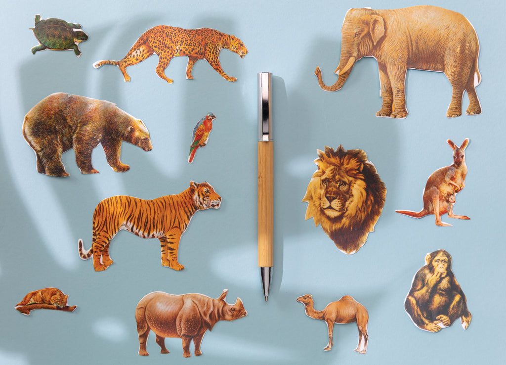 Moderni bambukynä-5