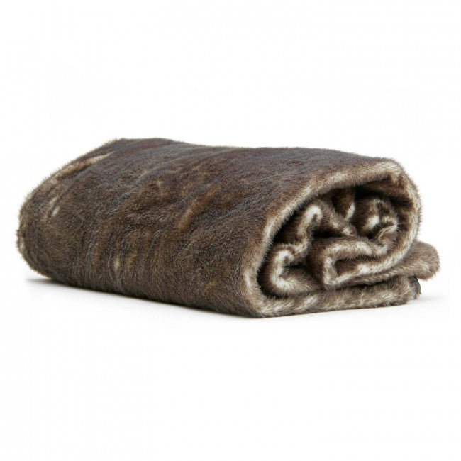 Torkkupeitto Arctic